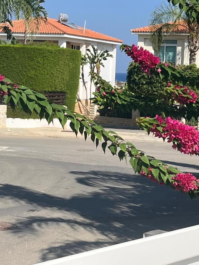 Zoe'S Villa By Turtle Bay Protaras Eksteriør bilde
